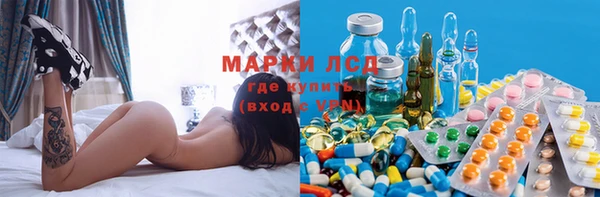 apvp Богданович