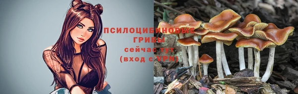 ALPHA-PVP Богородск