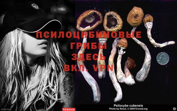 apvp Богданович