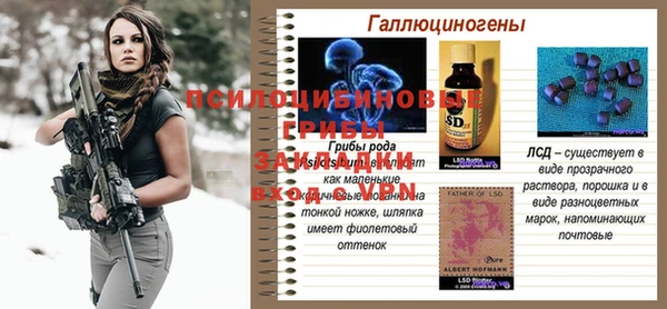 стаф Богородицк