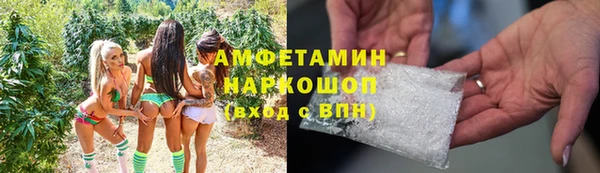 шишки Белоозёрский