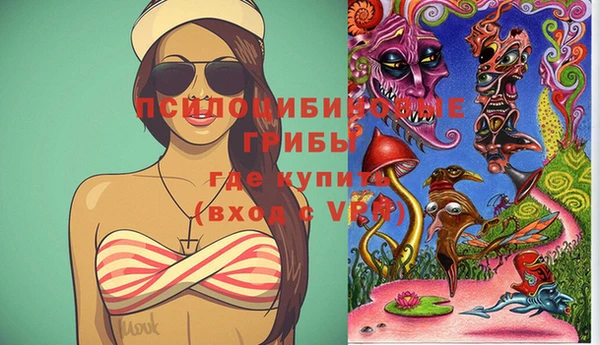 ECSTASY Белокуриха