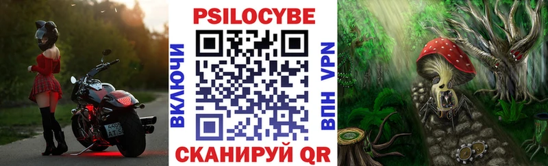 Галлюциногенные грибы MAGIC MUSHROOMS  дарк нет клад  Нерехта 