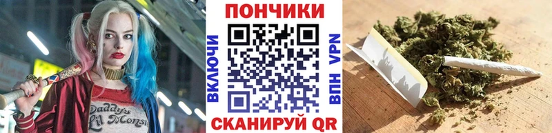 Шишки марихуана семена  сколько стоит  Нерехта 